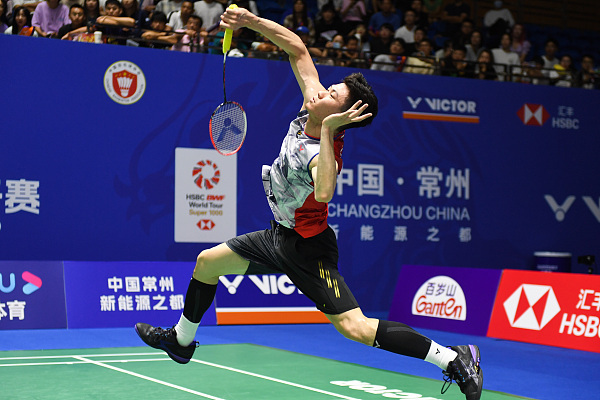 引起了观众 引起了观众